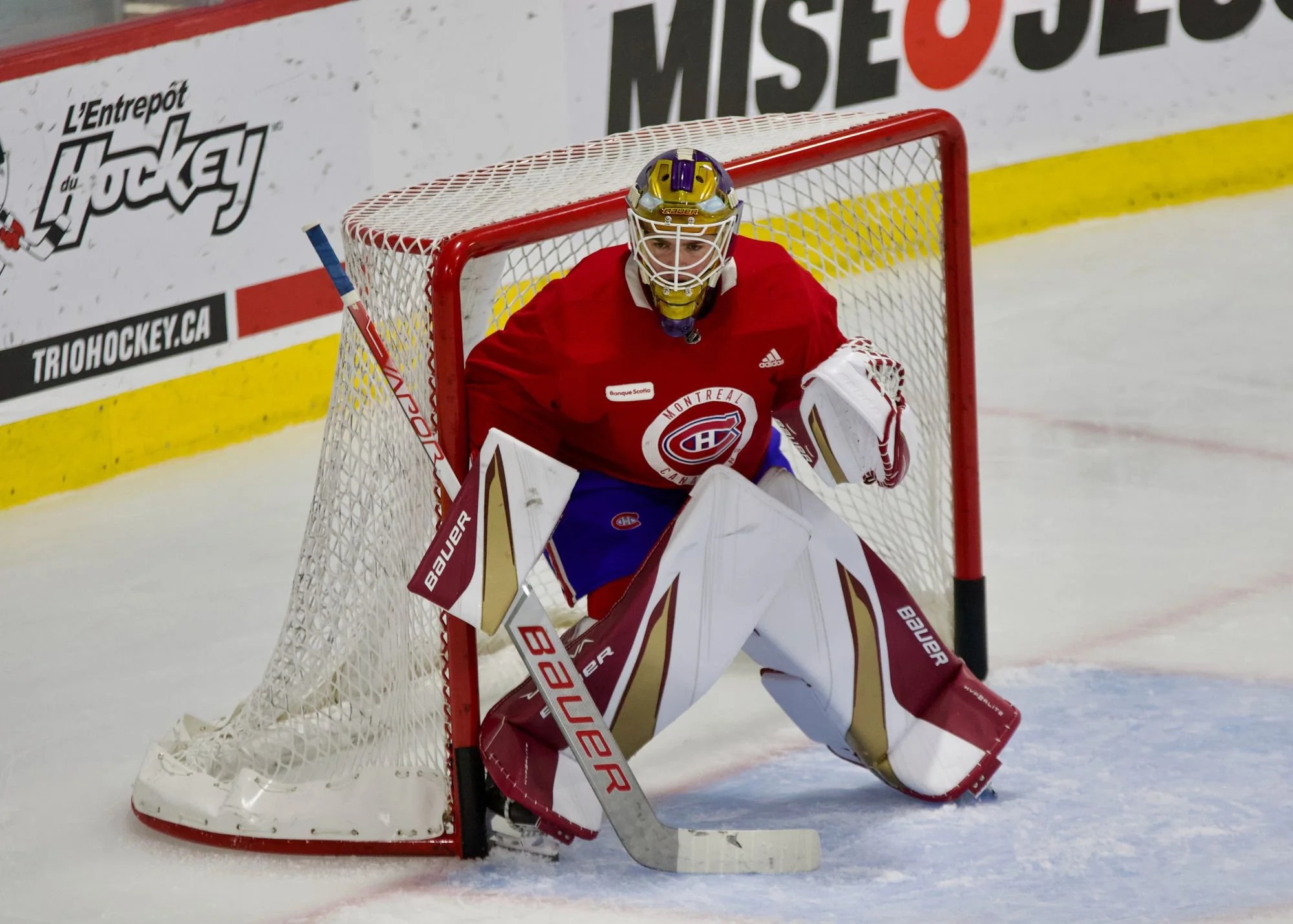 Jacob Fowler, third best goalie prospect in the NHL – Sports Addik